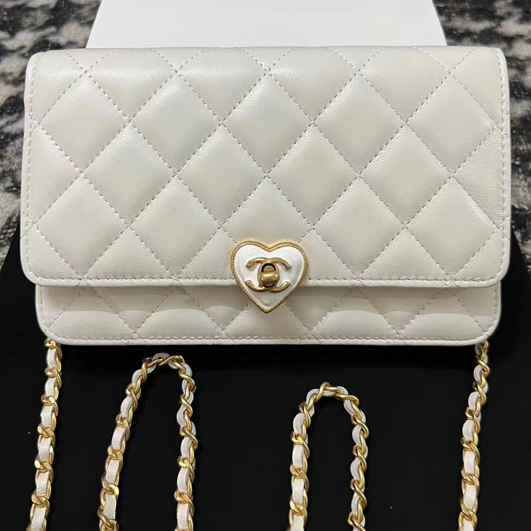 2023 Chanel WALLET ON CHAIN